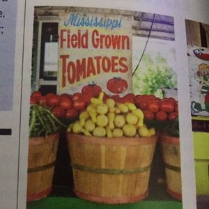 Meet your Posher, Diane